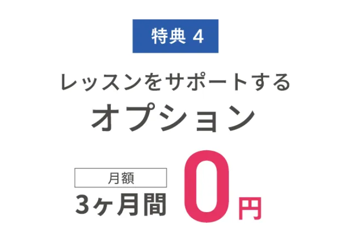 リントスル（Rintosull）